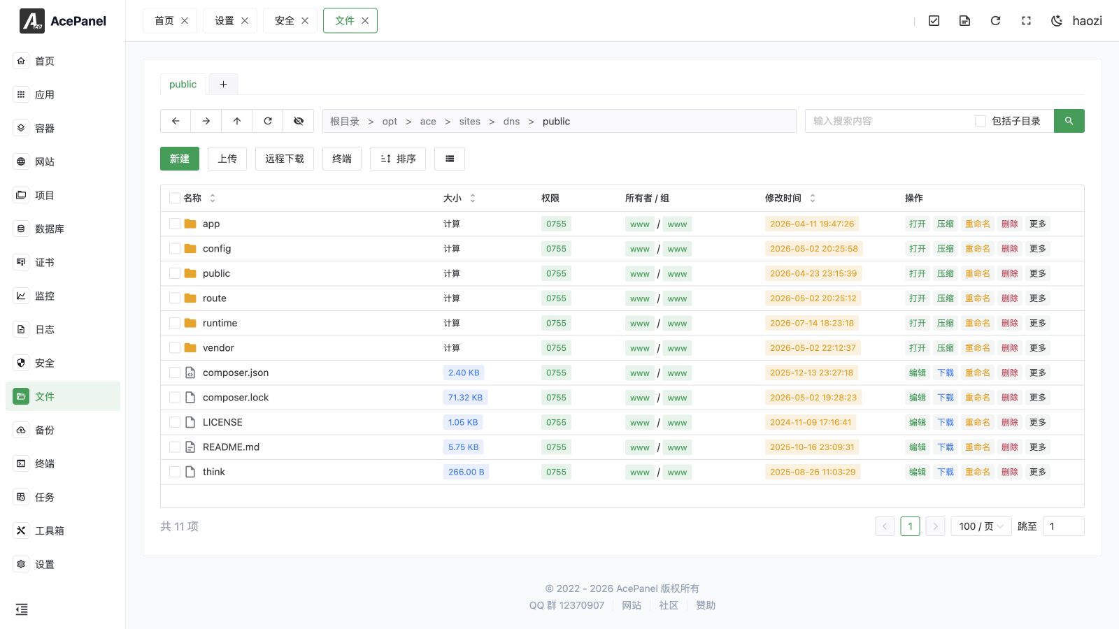 File manager