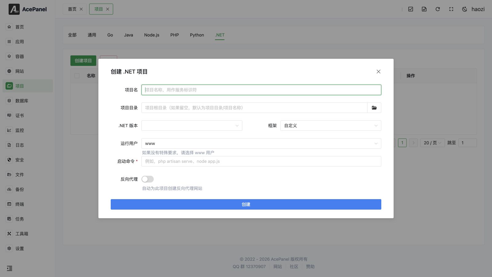 Create a .NET project