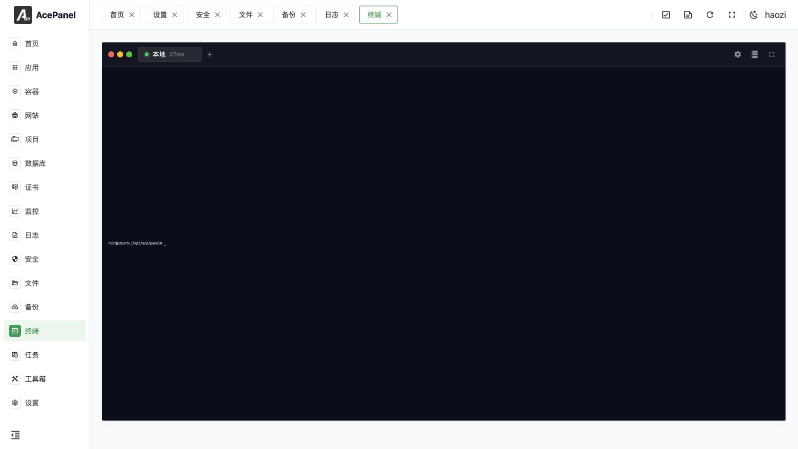 Terminal and SFTP